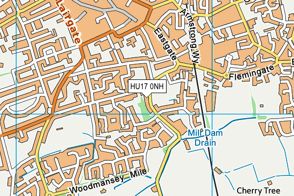 HU17 0NH map - OS VectorMap District (Ordnance Survey) HU17 0NH map - OS VectorMap District (Ordnance Survey)