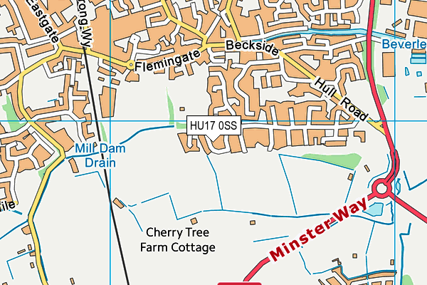 HU17 0SS map - OS VectorMap District (Ordnance Survey) HU17 0SS map - OS VectorMap District (Ordnance Survey)