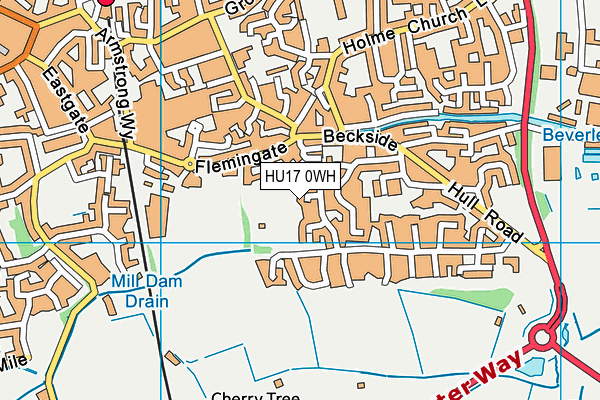 HU17 0WH map - OS VectorMap District (Ordnance Survey) HU17 0WH map - OS VectorMap District (Ordnance Survey)