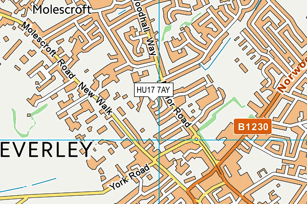 HU17 7AY map - OS VectorMap District (Ordnance Survey) HU17 7AY map - OS VectorMap District (Ordnance Survey)