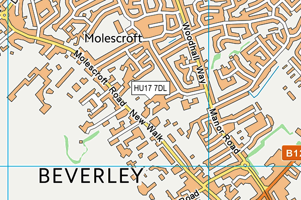 HU17 7DL map - OS VectorMap District (Ordnance Survey) HU17 7DL map - OS VectorMap District (Ordnance Survey)
