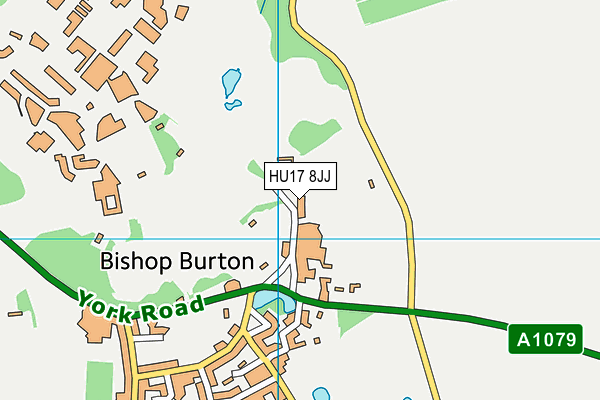 HU17 8JJ map - OS VectorMap District (Ordnance Survey)
