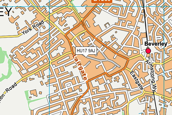HU17 9AJ map - OS VectorMap District (Ordnance Survey) HU17 9AJ map - OS VectorMap District (Ordnance Survey)