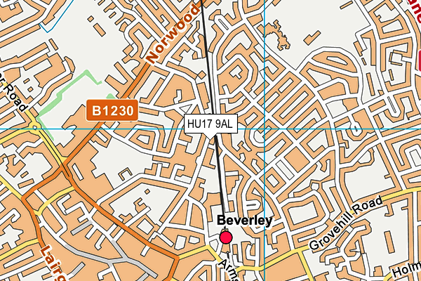 HU17 9AL map - OS VectorMap District (Ordnance Survey) HU17 9AL map - OS VectorMap District (Ordnance Survey)