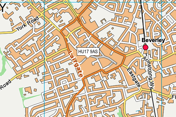 HU17 9AS map - OS VectorMap District (Ordnance Survey) HU17 9AS map - OS VectorMap District (Ordnance Survey)