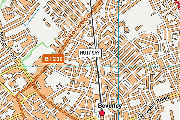 HU17 9AY map - OS VectorMap District (Ordnance Survey) HU17 9AY map - OS VectorMap District (Ordnance Survey)