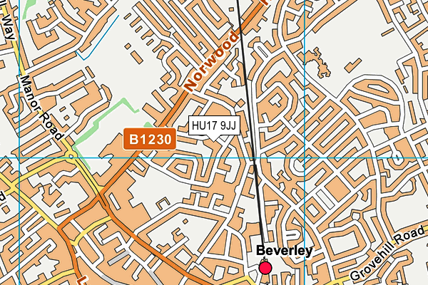 HU17 9JJ map - OS VectorMap District (Ordnance Survey) HU17 9JJ map - OS VectorMap District (Ordnance Survey)