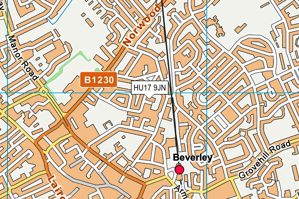 HU17 9JN map - OS VectorMap District (Ordnance Survey) HU17 9JN map - OS VectorMap District (Ordnance Survey)