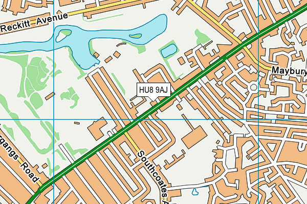 HU8 9AJ map - OS VectorMap District (Ordnance Survey) HU8 9AJ map - OS VectorMap District (Ordnance Survey)