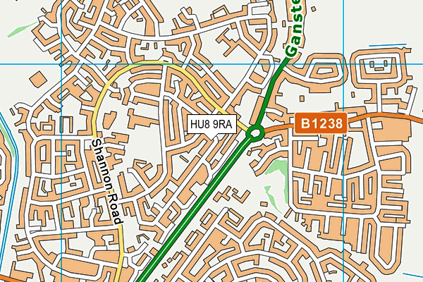 HU8 9RA map - OS VectorMap District (Ordnance Survey) HU8 9RA map - OS VectorMap District (Ordnance Survey)