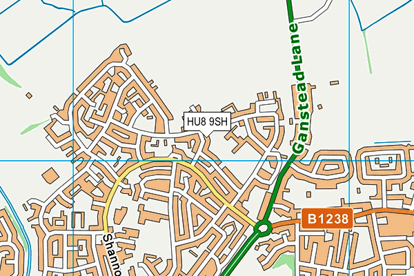 HU8 9SH map - OS VectorMap District (Ordnance Survey) HU8 9SH map - OS VectorMap District (Ordnance Survey)