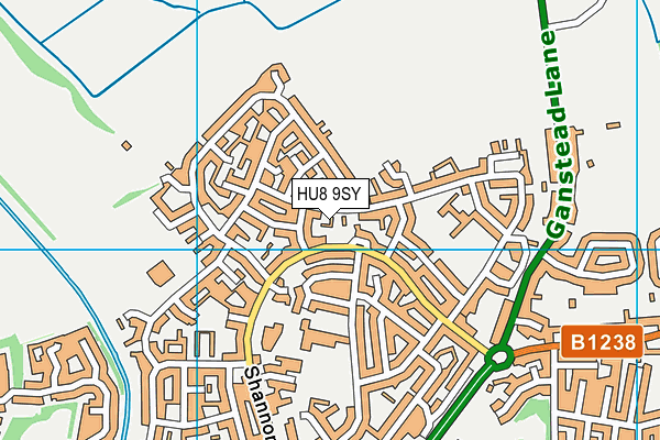 HU8 9SY map - OS VectorMap District (Ordnance Survey) HU8 9SY map - OS VectorMap District (Ordnance Survey)