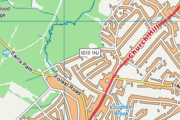IG10 1HJ map - OS VectorMap District (Ordnance Survey) IG10 1HJ map - OS VectorMap District (Ordnance Survey)