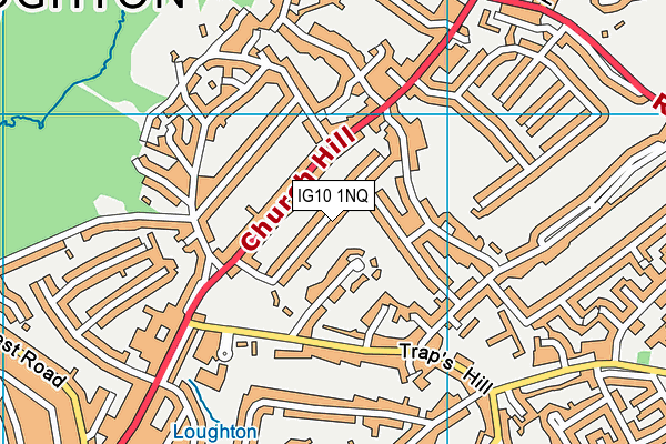 IG10 1NQ map - OS VectorMap District (Ordnance Survey)