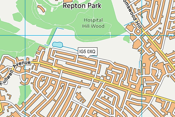 IG5 0XQ map - OS VectorMap District (Ordnance Survey) IG5 0XQ map - OS VectorMap District (Ordnance Survey)