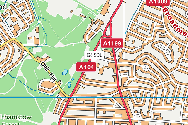 IG8 9DU map - OS VectorMap District (Ordnance Survey) IG8 9DU map - OS VectorMap District (Ordnance Survey)