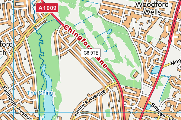 IG8 9TE map - OS VectorMap District (Ordnance Survey) IG8 9TE map - OS VectorMap District (Ordnance Survey)