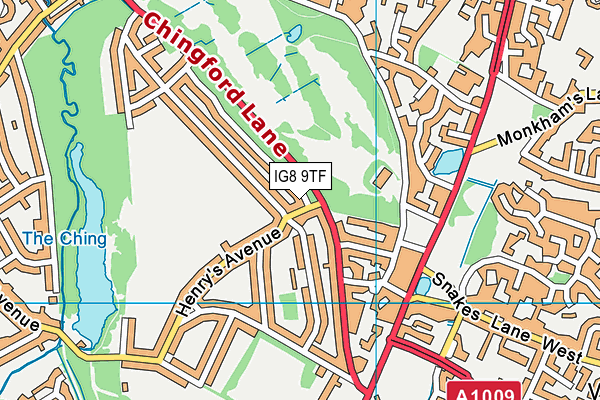 IG8 9TF map - OS VectorMap District (Ordnance Survey) IG8 9TF map - OS VectorMap District (Ordnance Survey)