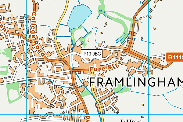 IP13 9BG map - OS VectorMap District (Ordnance Survey) IP13 9BG map - OS VectorMap District (Ordnance Survey)