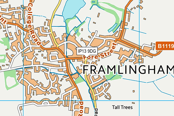 IP13 9DG map - OS VectorMap District (Ordnance Survey)