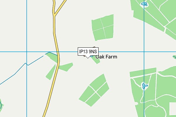 IP13 9NS map - OS VectorMap District (Ordnance Survey) IP13 9NS map - OS VectorMap District (Ordnance Survey)