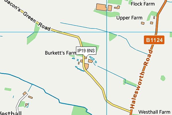 IP19 8NS map - OS VectorMap District (Ordnance Survey) IP19 8NS map - OS VectorMap District (Ordnance Survey)