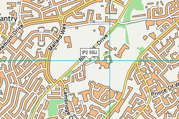 IP2 9SU map - OS VectorMap District (Ordnance Survey) IP2 9SU map - OS VectorMap District (Ordnance Survey)