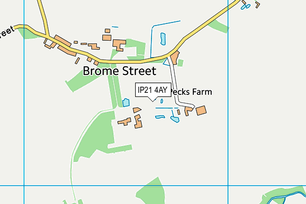 IP21 4AY map - OS VectorMap District (Ordnance Survey) IP21 4AY map - OS VectorMap District (Ordnance Survey)
