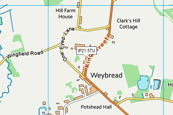 IP21 5TU map - OS VectorMap District (Ordnance Survey) IP21 5TU map - OS VectorMap District (Ordnance Survey)
