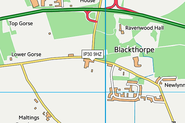 IP30 9HZ map - OS VectorMap District (Ordnance Survey) IP30 9HZ map - OS VectorMap District (Ordnance Survey)