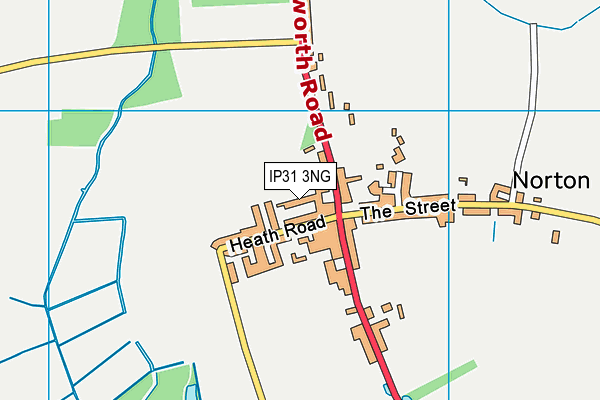 IP31 3NG map - OS VectorMap District (Ordnance Survey) IP31 3NG map - OS VectorMap District (Ordnance Survey)
