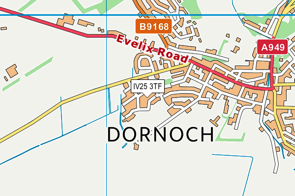 IV25 3TF map - OS VectorMap District (Ordnance Survey) IV25 3TF map - OS VectorMap District (Ordnance Survey)