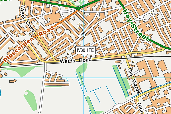 IV30 1TE map - OS VectorMap District (Ordnance Survey) IV30 1TE map - OS VectorMap District (Ordnance Survey)