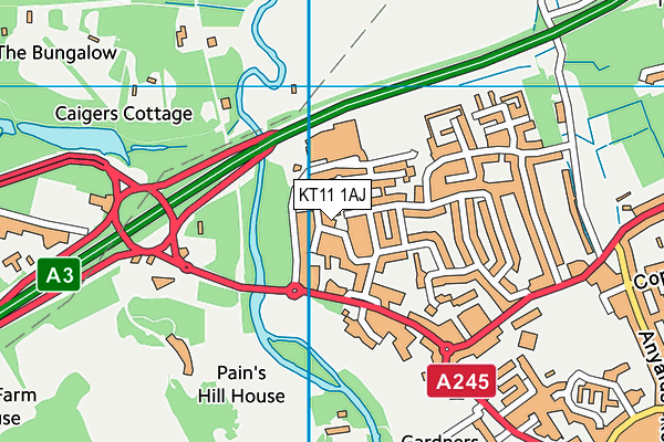 KT11 1AJ map - OS VectorMap District (Ordnance Survey) KT11 1AJ map - OS VectorMap District (Ordnance Survey)