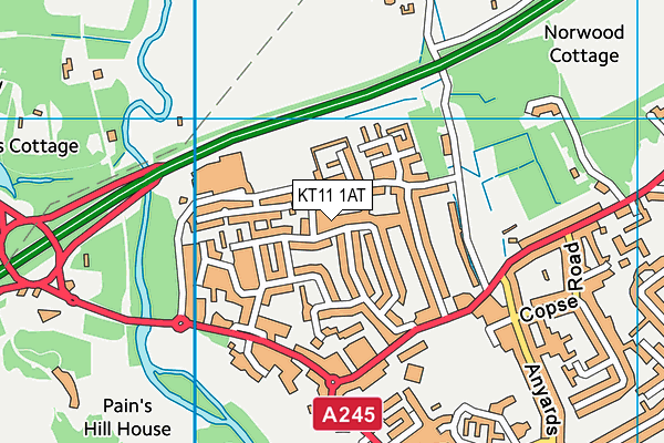 KT11 1AT map - OS VectorMap District (Ordnance Survey) KT11 1AT map - OS VectorMap District (Ordnance Survey)