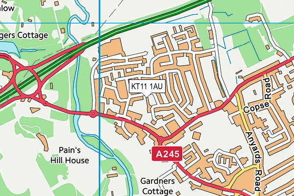 KT11 1AU map - OS VectorMap District (Ordnance Survey) KT11 1AU map - OS VectorMap District (Ordnance Survey)