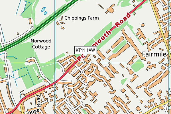 KT11 1AW map - OS VectorMap District (Ordnance Survey) KT11 1AW map - OS VectorMap District (Ordnance Survey)