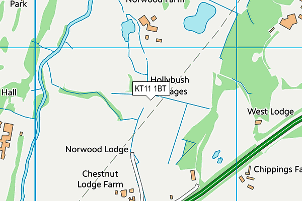 KT11 1BT map - OS VectorMap District (Ordnance Survey) KT11 1BT map - OS VectorMap District (Ordnance Survey)