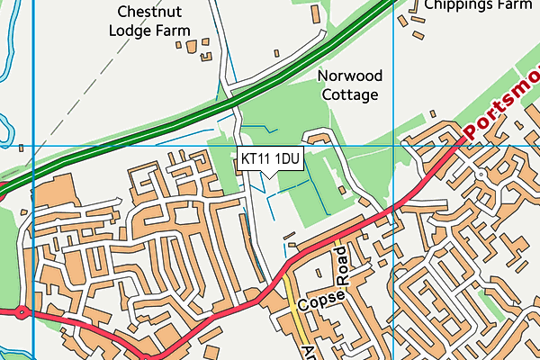 KT11 1DU map - OS VectorMap District (Ordnance Survey) KT11 1DU map - OS VectorMap District (Ordnance Survey)