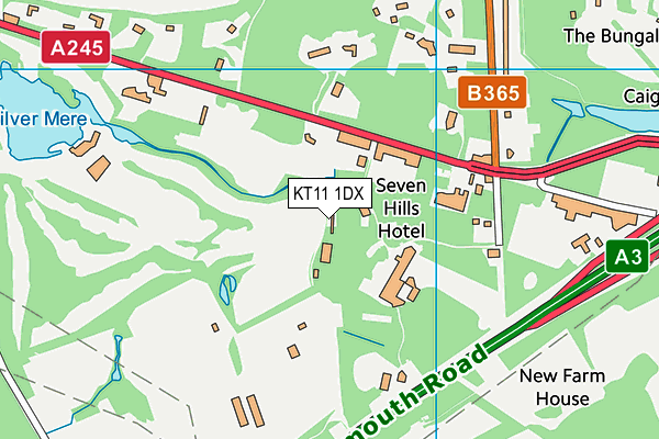 KT11 1DX map - OS VectorMap District (Ordnance Survey) KT11 1DX map - OS VectorMap District (Ordnance Survey)