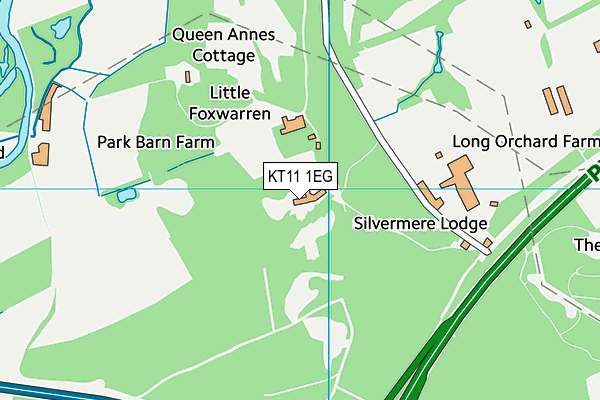 KT11 1EG map - OS VectorMap District (Ordnance Survey) KT11 1EG map - OS VectorMap District (Ordnance Survey)