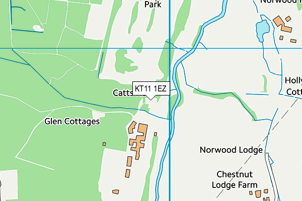 KT11 1EZ map - OS VectorMap District (Ordnance Survey) KT11 1EZ map - OS VectorMap District (Ordnance Survey)
