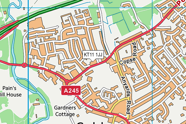 KT11 1JJ map - OS VectorMap District (Ordnance Survey) KT11 1JJ map - OS VectorMap District (Ordnance Survey)