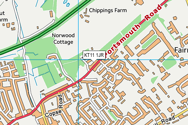 KT11 1JR map - OS VectorMap District (Ordnance Survey)