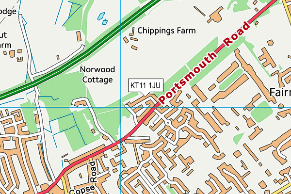 KT11 1JU map - OS VectorMap District (Ordnance Survey)