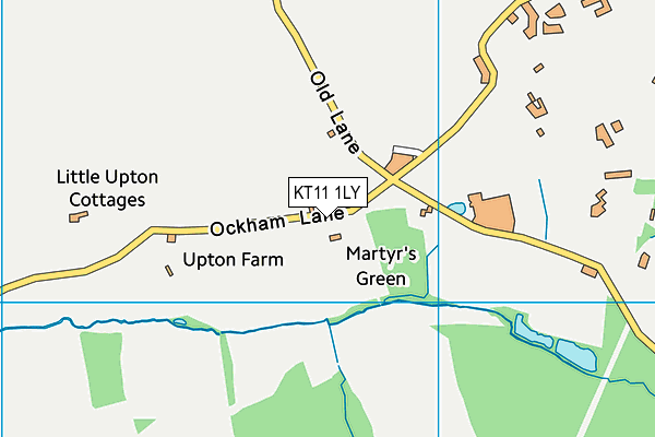 KT11 1LY map - OS VectorMap District (Ordnance Survey) KT11 1LY map - OS VectorMap District (Ordnance Survey)