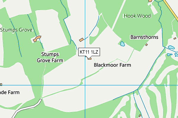 KT11 1LZ map - OS VectorMap District (Ordnance Survey) KT11 1LZ map - OS VectorMap District (Ordnance Survey)