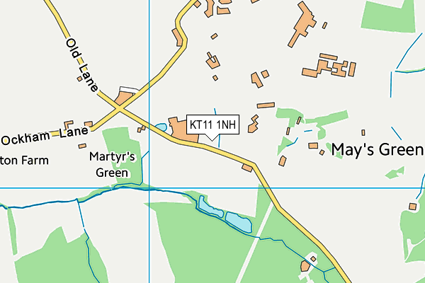 KT11 1NH map - OS VectorMap District (Ordnance Survey) KT11 1NH map - OS VectorMap District (Ordnance Survey)
