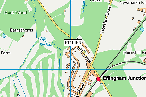 KT11 1NN map - OS VectorMap District (Ordnance Survey) KT11 1NN map - OS VectorMap District (Ordnance Survey)