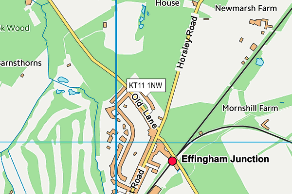 KT11 1NW map - OS VectorMap District (Ordnance Survey) KT11 1NW map - OS VectorMap District (Ordnance Survey)